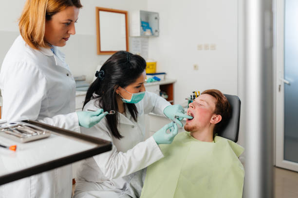Best Emergency Dental Care for Broken or Chipped Teeth in Park River, ND